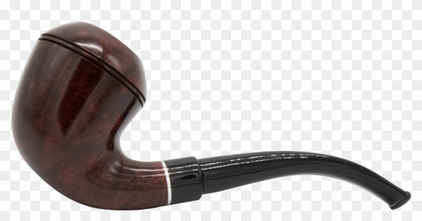 Img 0294 - Freshwater Whipray Clipart