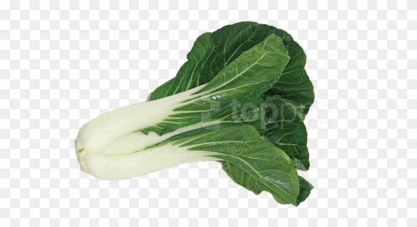 Free Png Bok Choy Image Png Images Transparent - Bok Choy Transparent Background Clipart #5131585