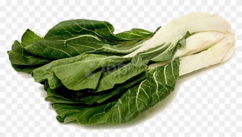 Free Png Download Bok Choy Png File Png Images Background - Bok Choy No Background Clipart #5131638