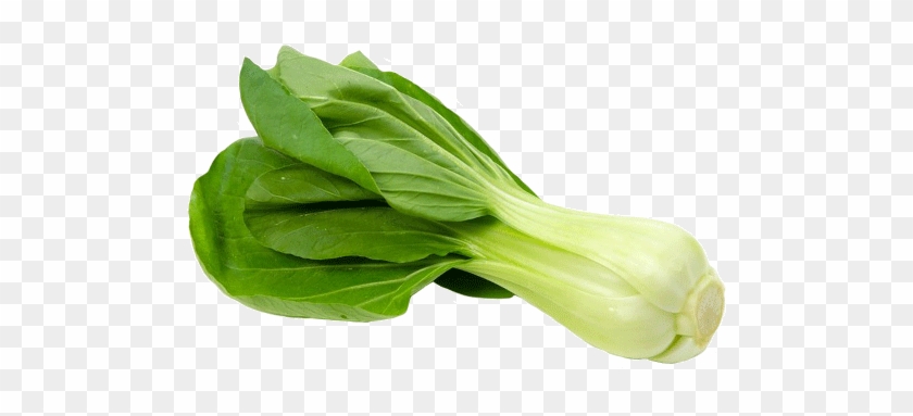 Bok Choy - Arugula Clipart #5131668