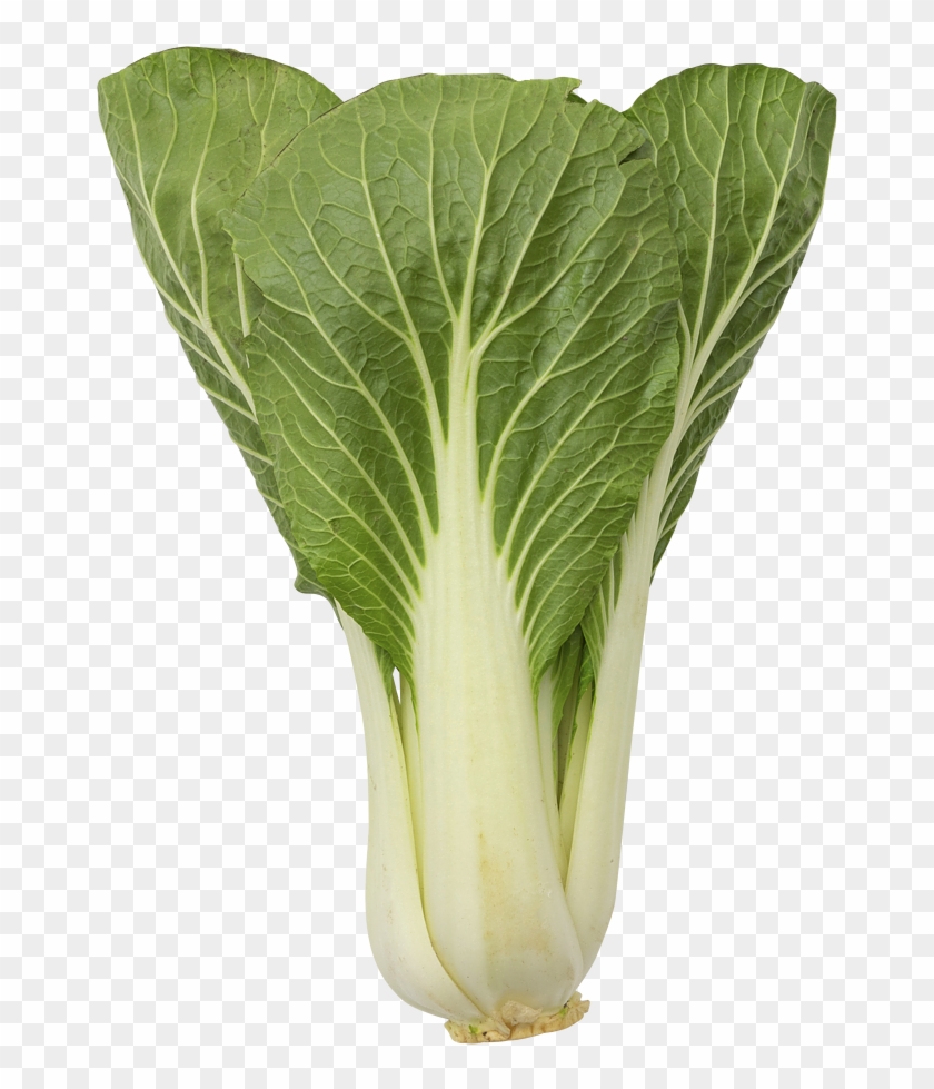 Chard Clipart #5131985