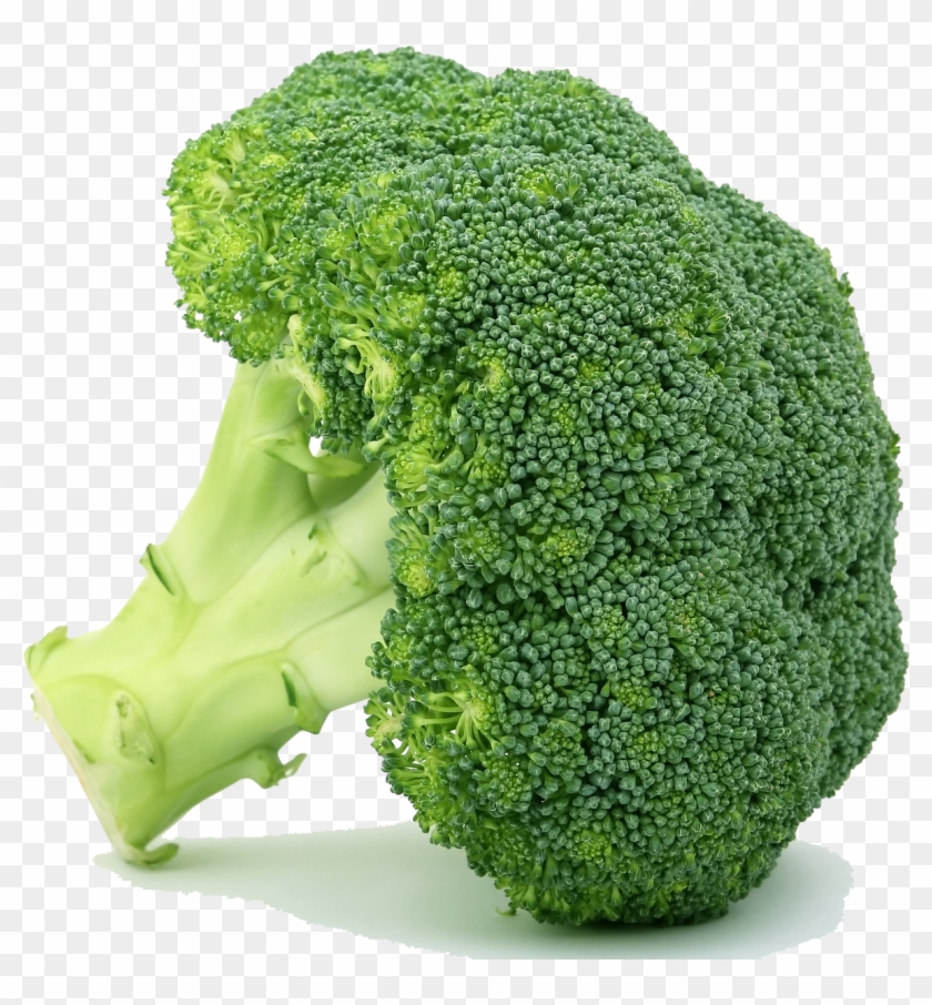 Bok Choy/pak Choi - Objects With Green Color Clipart