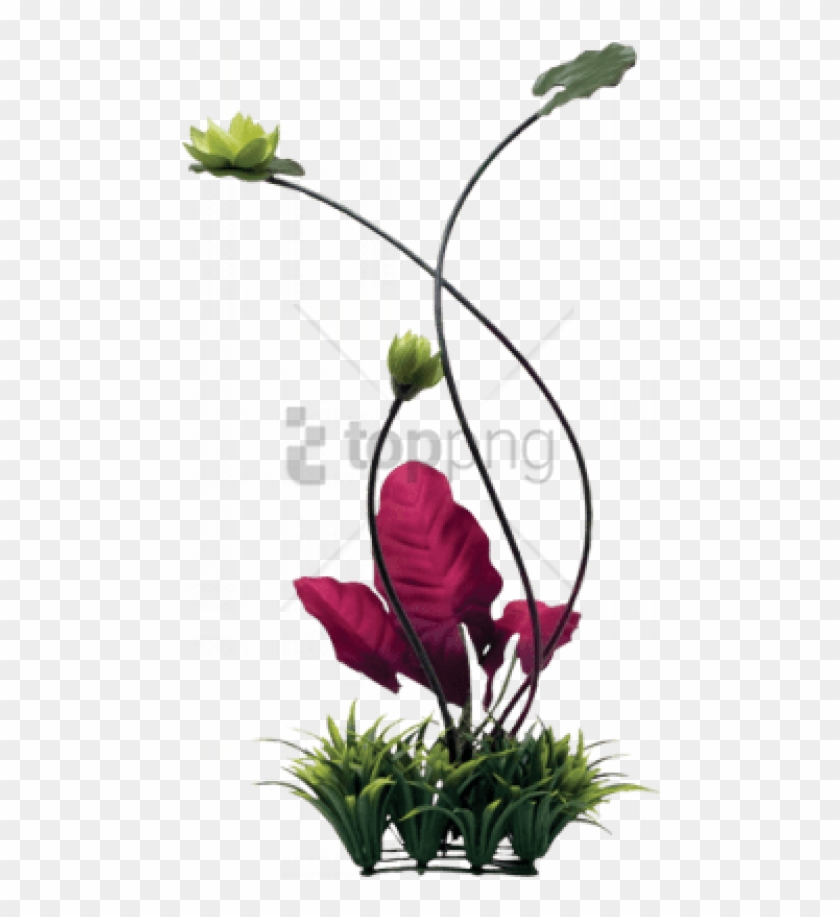 Free Png Fluval Chi Lily Pad And Plant Grass Ornament - Fluval Chi Aquarium Clipart #5132538