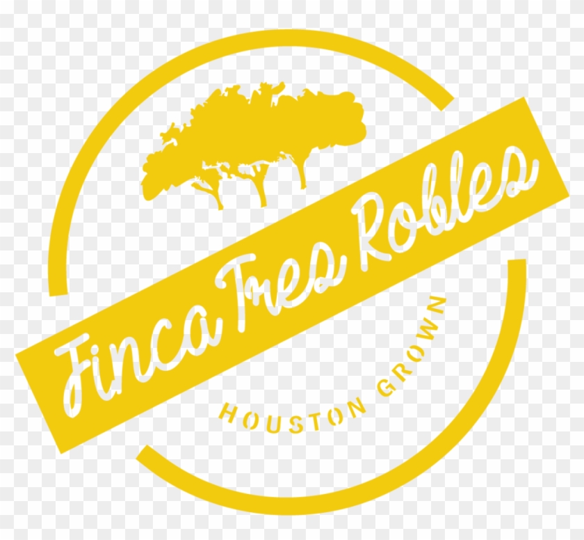 Bok Choy Png Clipart