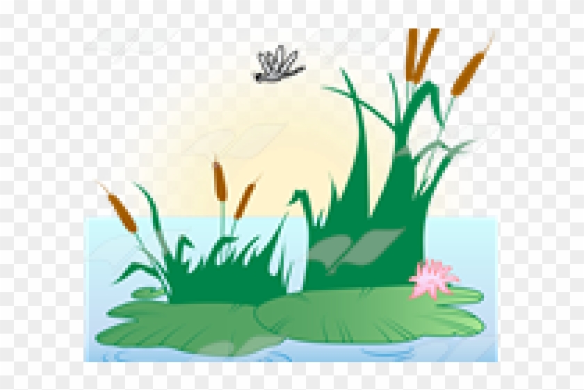 Lily Pad Clipart Pond Scene - Illustration - Png Download