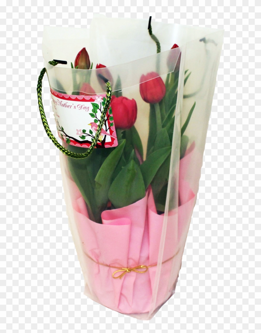 Potted Tulips In Gift Bag - Bouquet Clipart #5136601