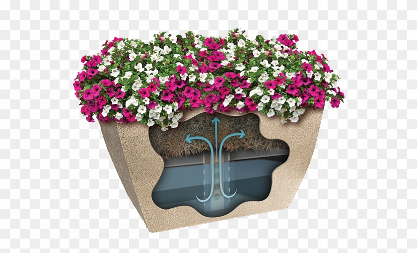 Square Commercial Planter W-flowers - Flowerpot Clipart