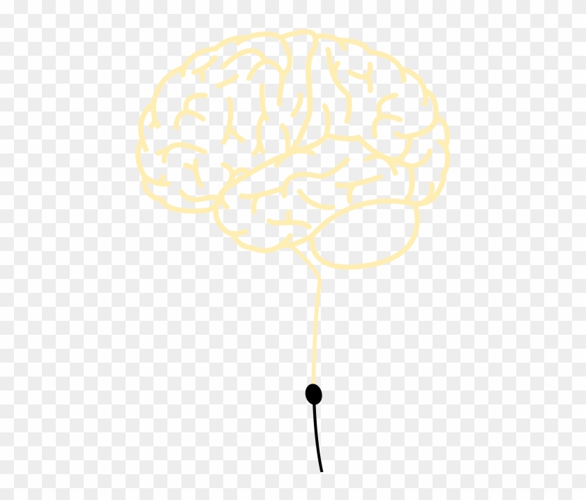 Brain - Illustration Clipart #5138246