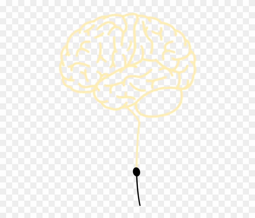 Brain - Illustration Clipart