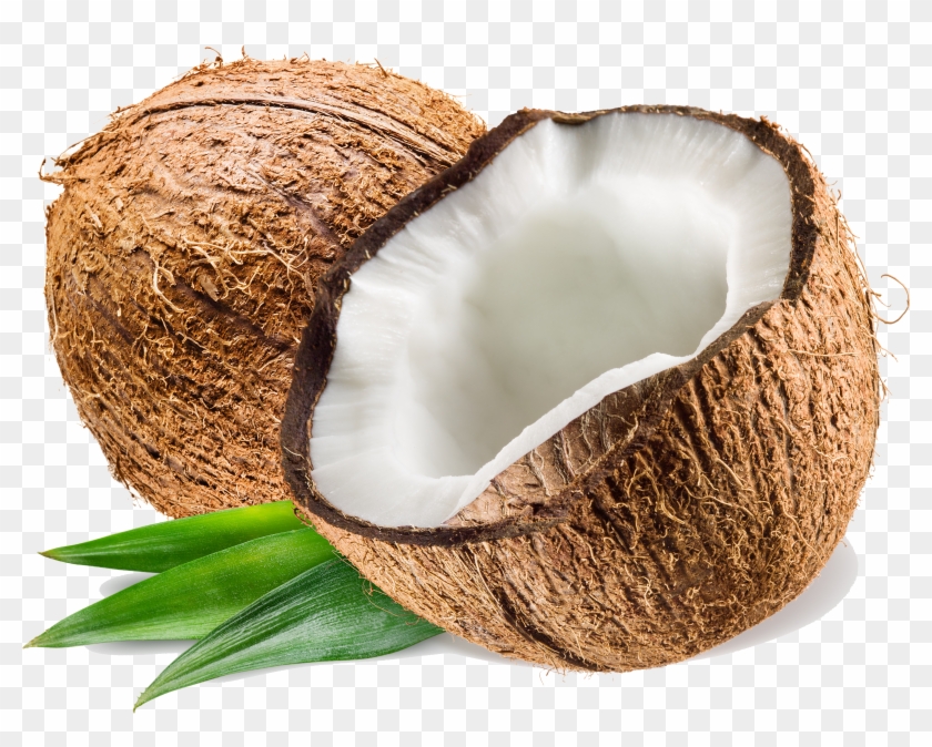 Com Coconut Pluspng Clipart