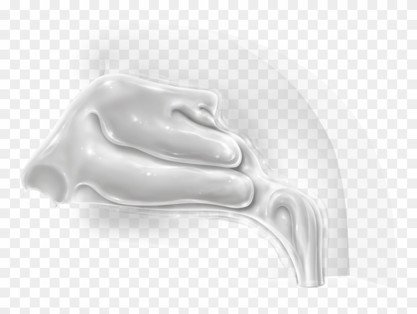 3d Nasal Cast Model - Relief Clipart #5139291
