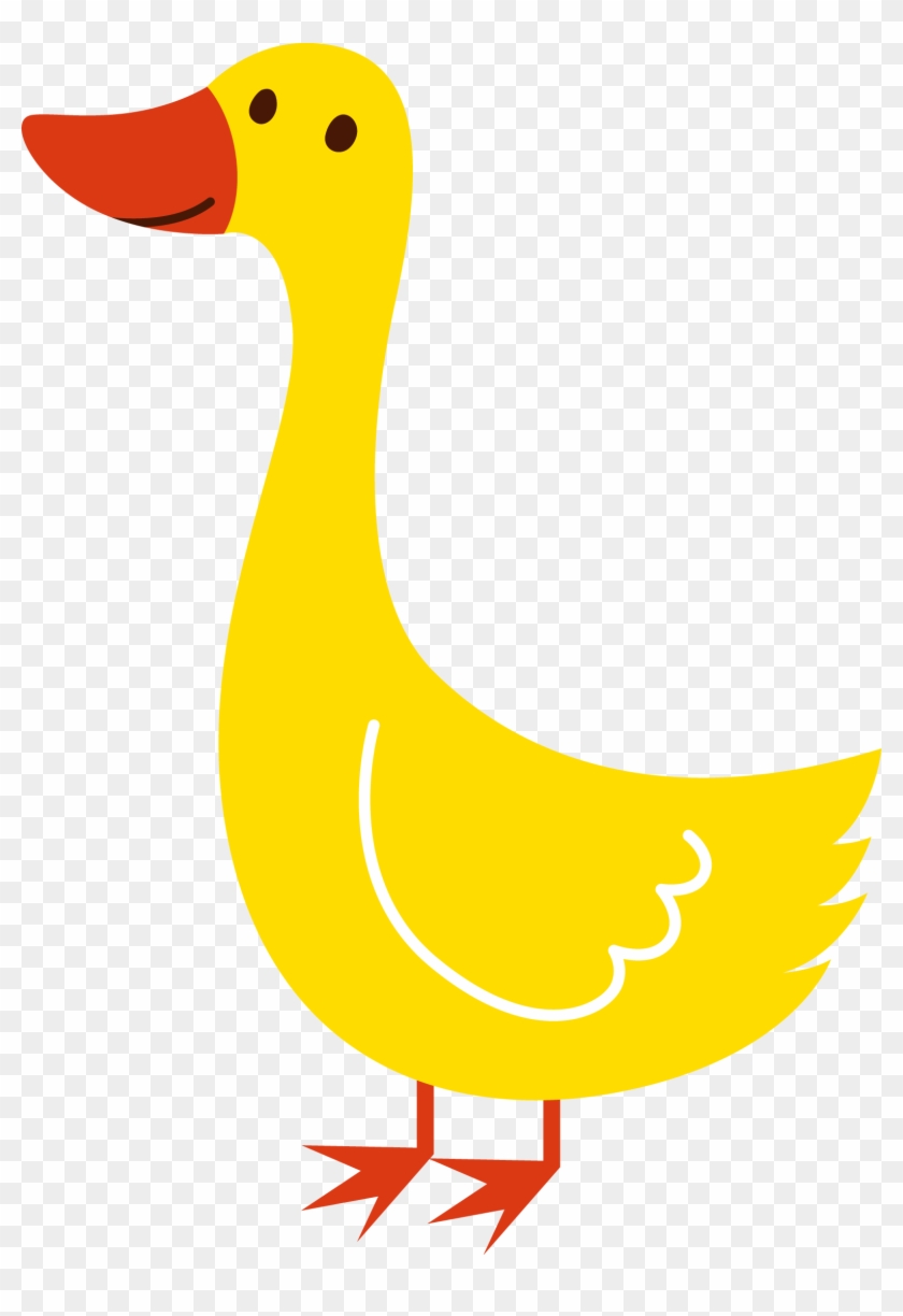 Cute Animal Clipart, Cute Clipart, Farm Animals, Cute - Pato Png Desenho Transparent Png #5140588