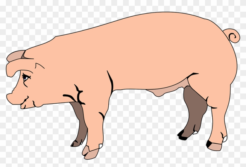 Farm Animal No Background - Pig Clipart No Background - Png Download #5140623