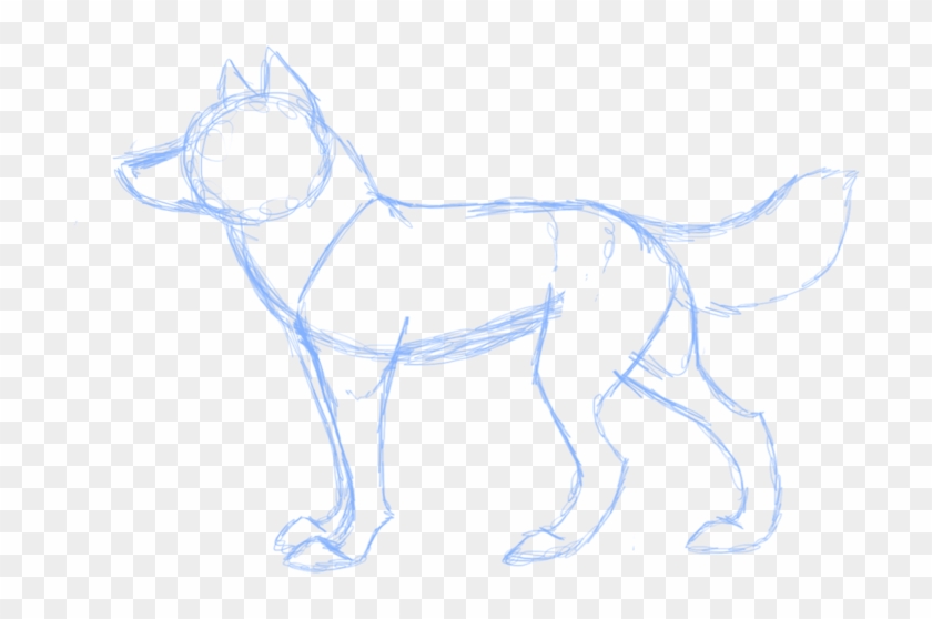 My Wolf Anatomy 3 By Twiztedrhapsody-d3dv96g Anatomy - Line Art Clipart #5141103