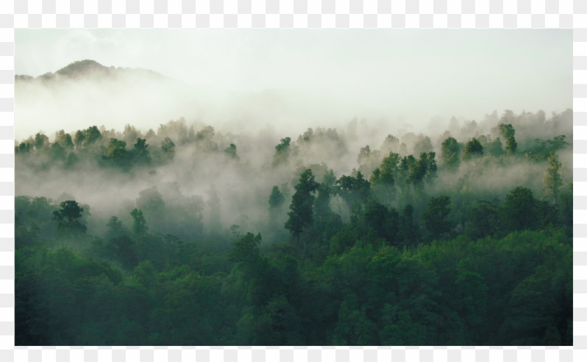 0 Comments - Comments - Hills And Fog Clipart
