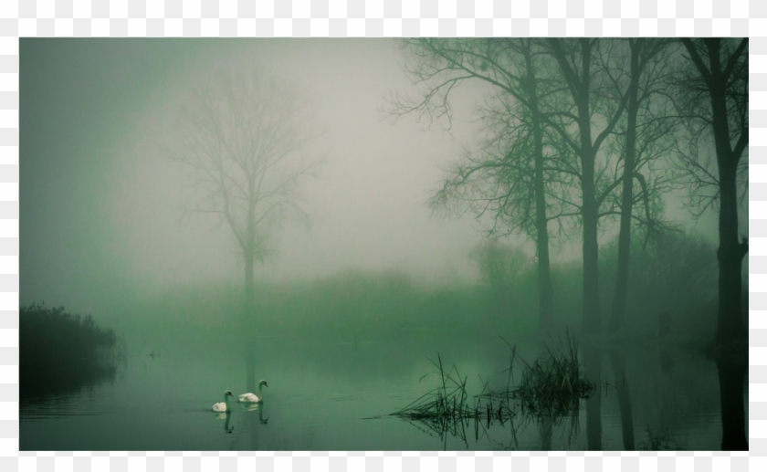 Score 50% - Mist Clipart #5141731