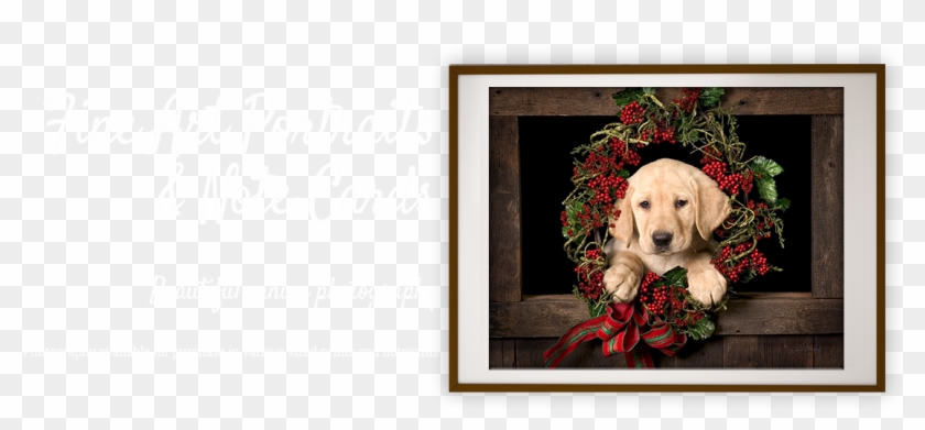 Home - Cocker Spaniel Clipart #5141755