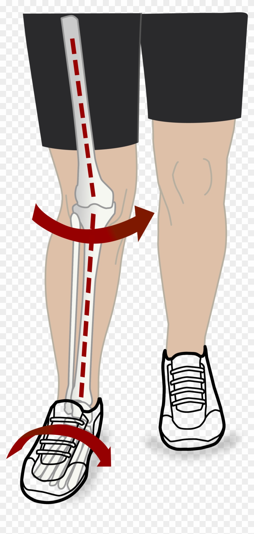 Mechanical Efficiency Diagram Walking Red Clipart