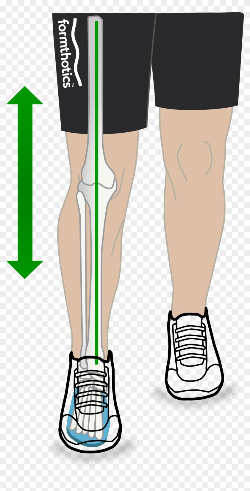 Mechanical Efficiency Diagram Walking Green Clipart