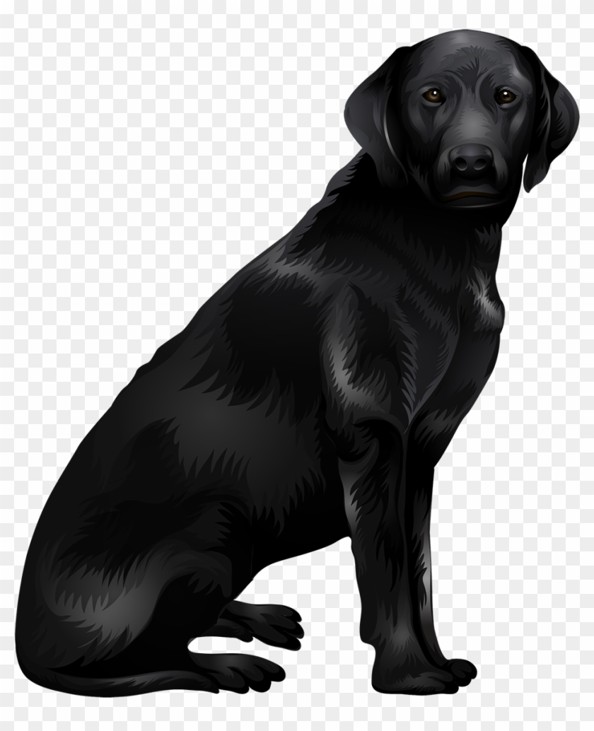 Labrador Retriever Png - Black Labrador Png Clipart #5142388