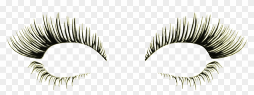 Diva Slimming And Aesthetics - Eyelashes Picsart Clipart
