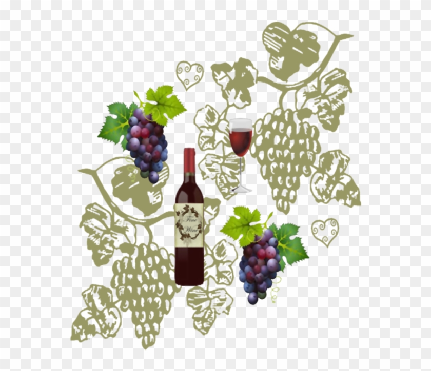Wine And Grapes - Grapes Vector Clipart
