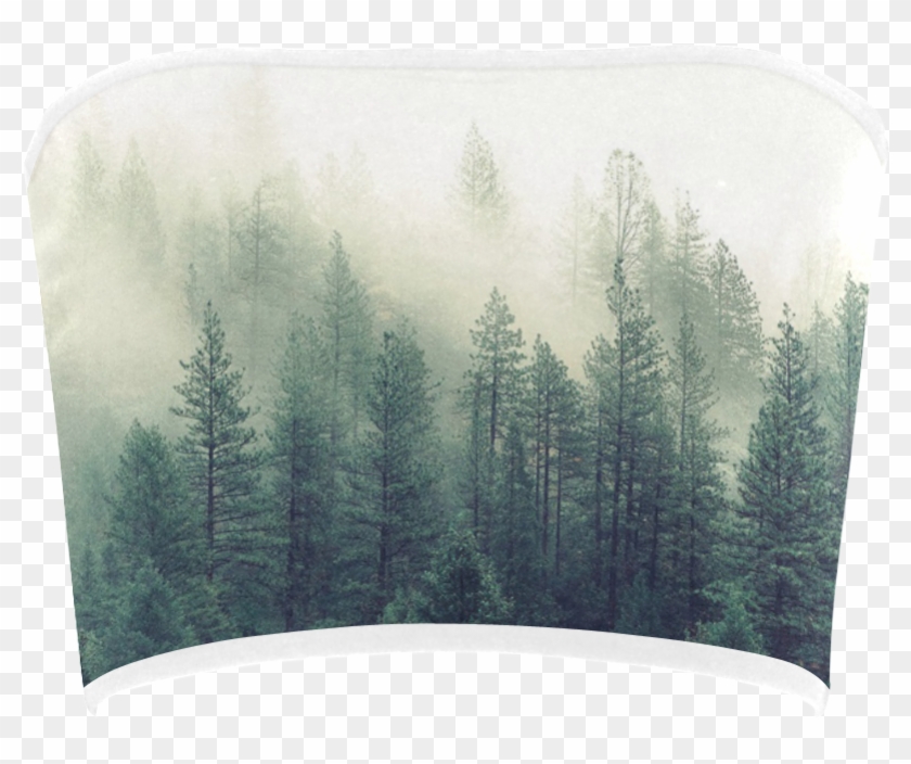 Christmas Tree Clipart