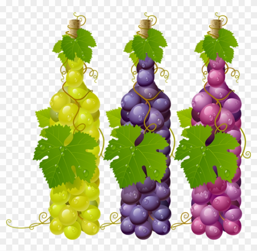 Grapes Vector , Png Download - Wine Grape Leaves Png Clipart #5142914