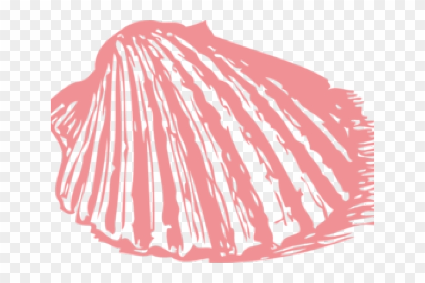 Clipart Wallpaper Blink - Shell Clip Art - Png Download