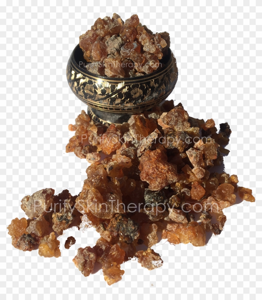 Larger Photo - Raisin Clipart