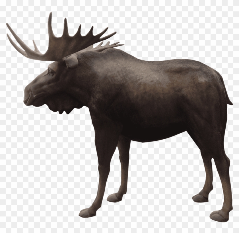 Moose Life Size Prop Resin Decor Statue- Lm Treasures - Reindeer Clipart #5143399