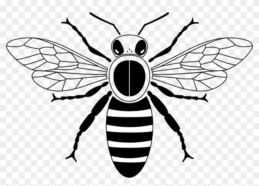 Clip Art Black And White Honey Bee - Png Download