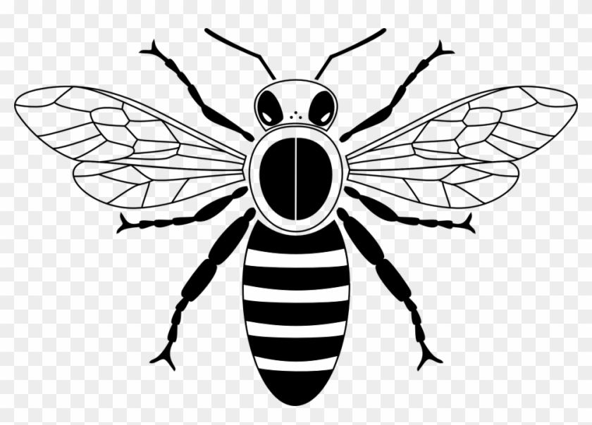Clip Art Black And White Honey Bee - Png Download #5143893