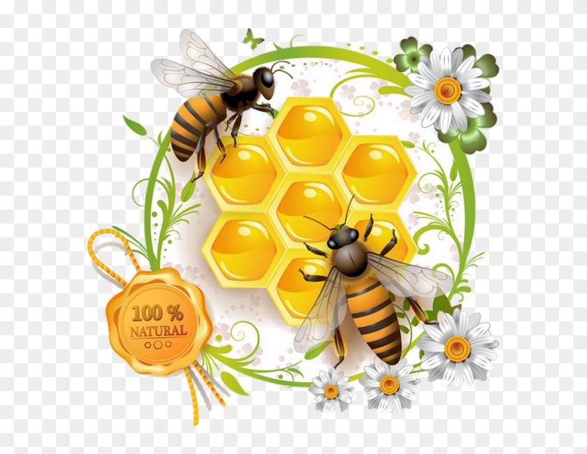 Label Honey Bee Vector Clipart #5143937