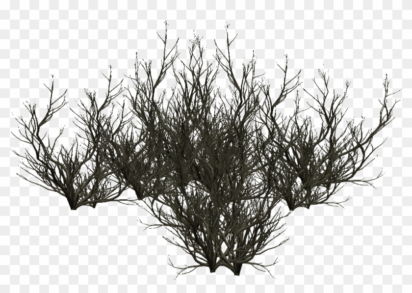 Tree Roots - Silhouette - Silhouette Clipart