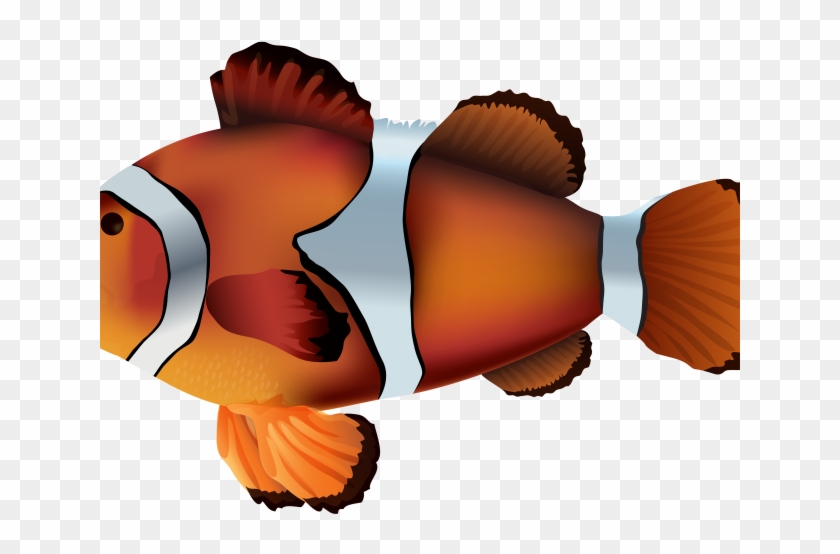 Clownfish Adorable Free On Dumielauxepices Net Onyx - Pez Payaso Transparents Clipart #5144570