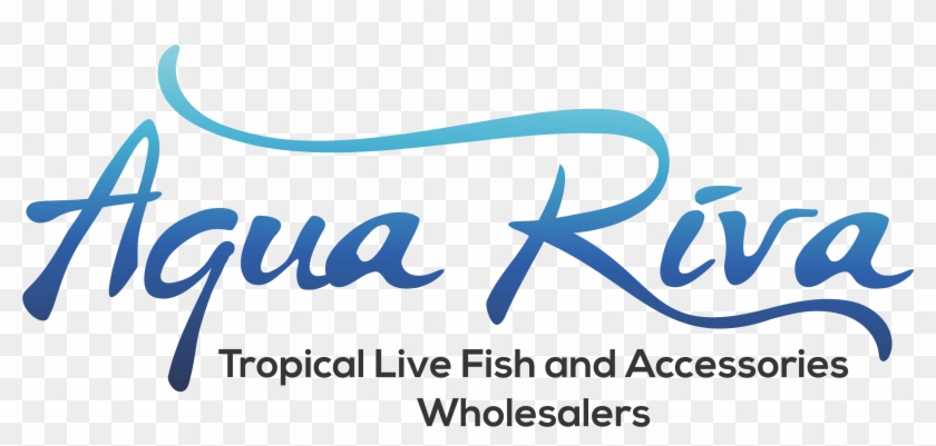 Calligraphy Clipart #5144595