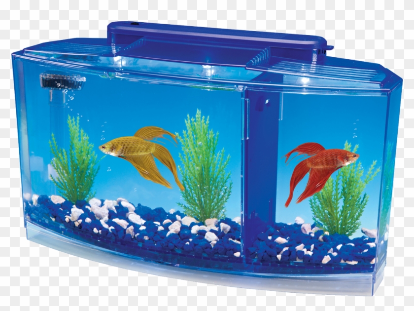 Betta Aquarium Kit With Led Lighting Clipart