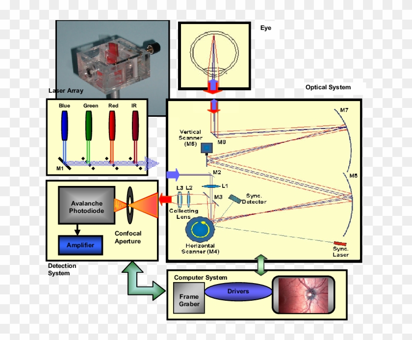 The Schematic Presentation Of The Cslo Components Clipart #5144733