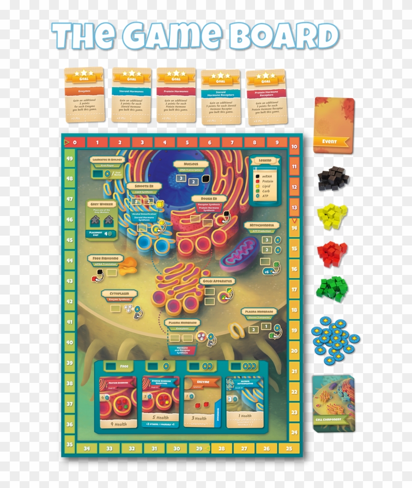 A Board Game Taking Place Inside A Human Cell Players - Cytosis A Cell Biology Game Clipart #5144912
