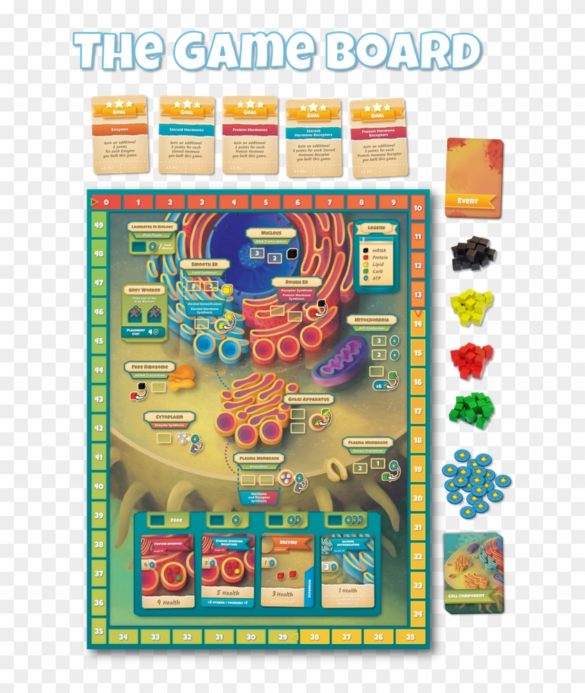 A Board Game Taking Place Inside A Human Cell Players - Cytosis A Cell Biology Game Clipart