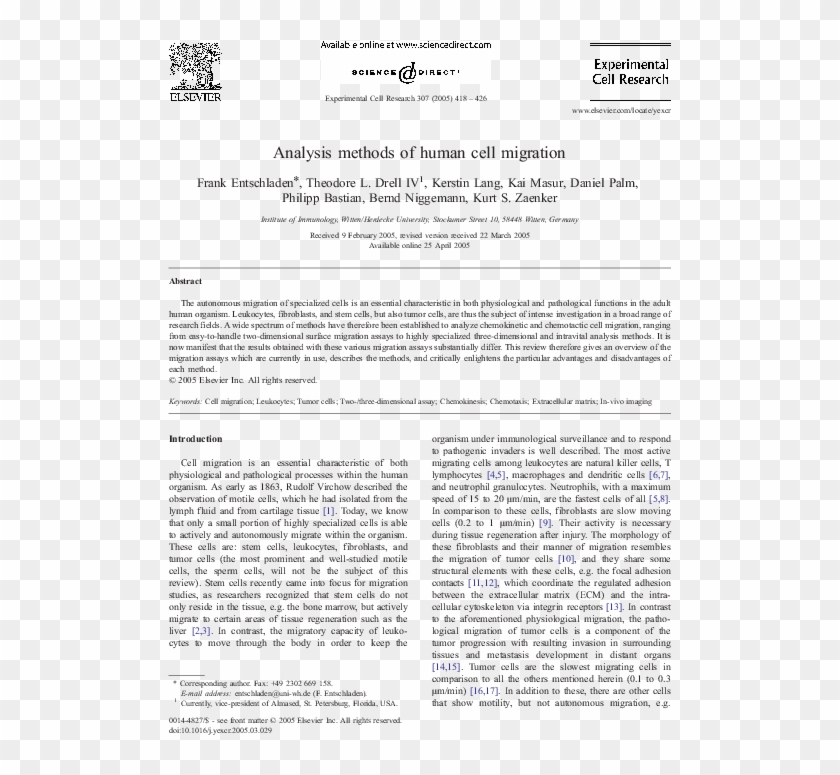 Pdf - Rebel Years – The Art Against Military Dictatorship Clipart #5145638