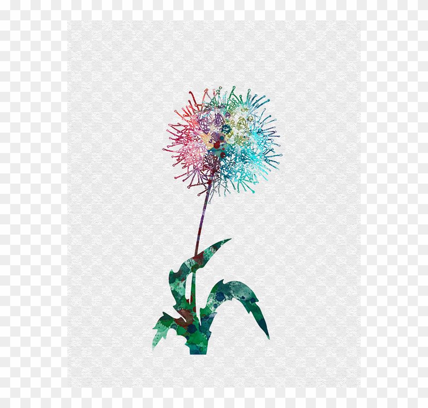 Clipart Transparent Stock Dandelions Drawing Watercolor - Cross-stitch - Png Download #5145665