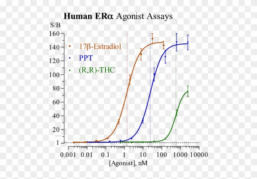 Eralpha Reporter Assay Kit - Public Health Action Cycle Clipart