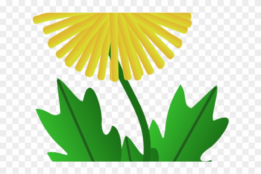 Dandelion Clipart March - Dandelion Clip Art - Png Download #5145821