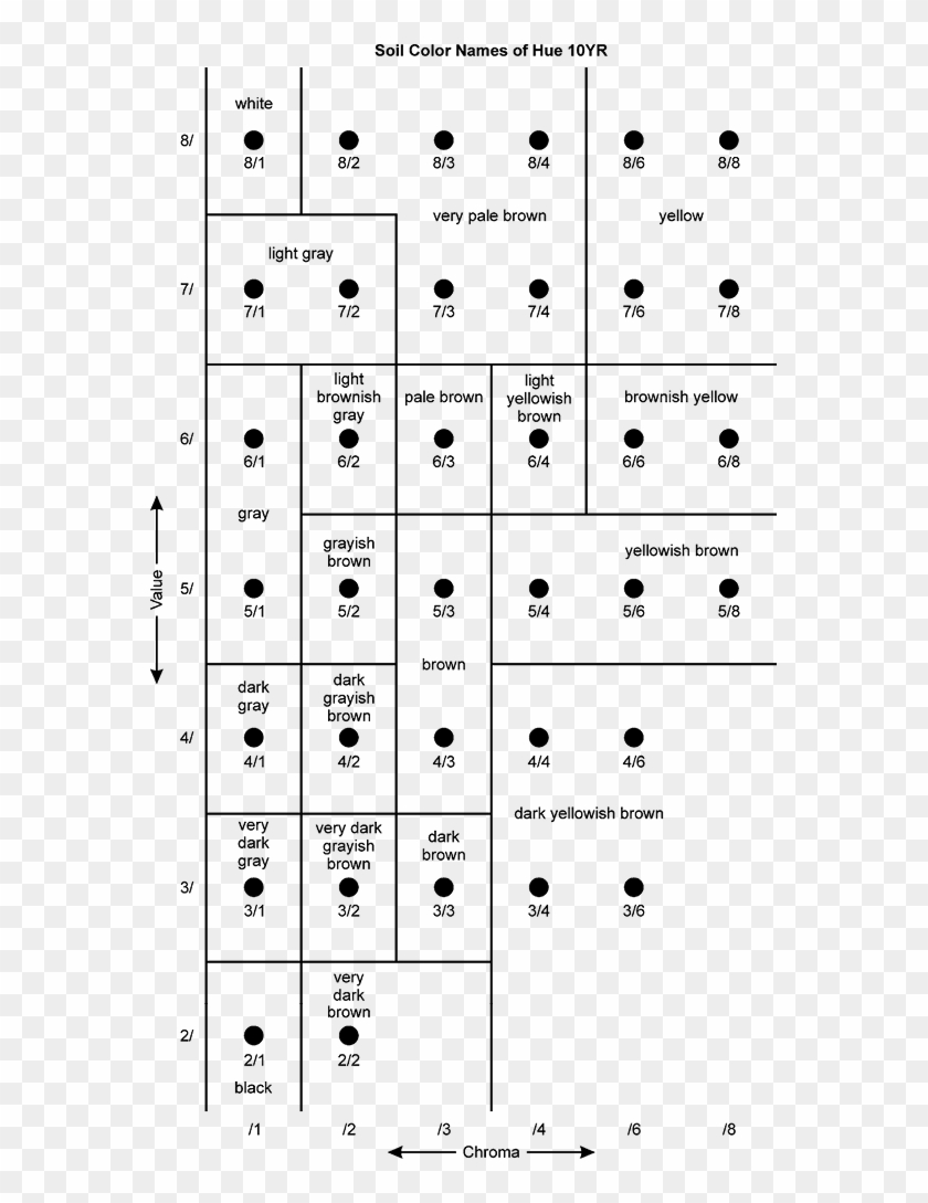 The Arrangement Of Color Chips According To Value And - Cow Dot To Dot Clipart