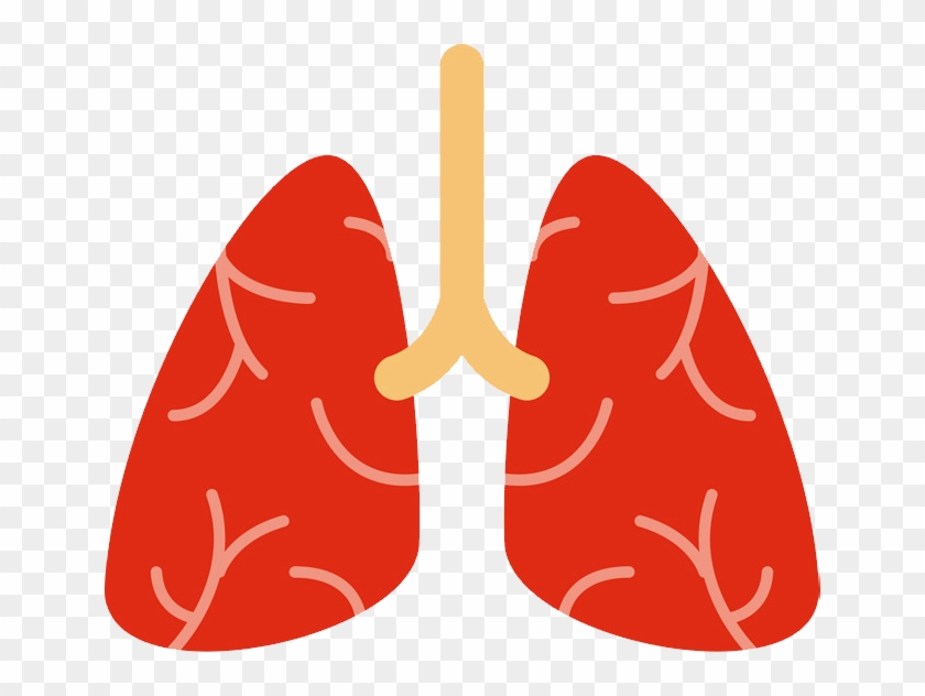 Clip Art - Png Download