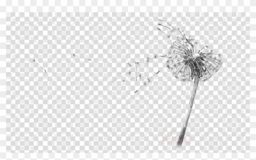 Drawing, Sketch, Illustration, Transparent Png Image - Dried Pressed Flower Png Clipart #5145986