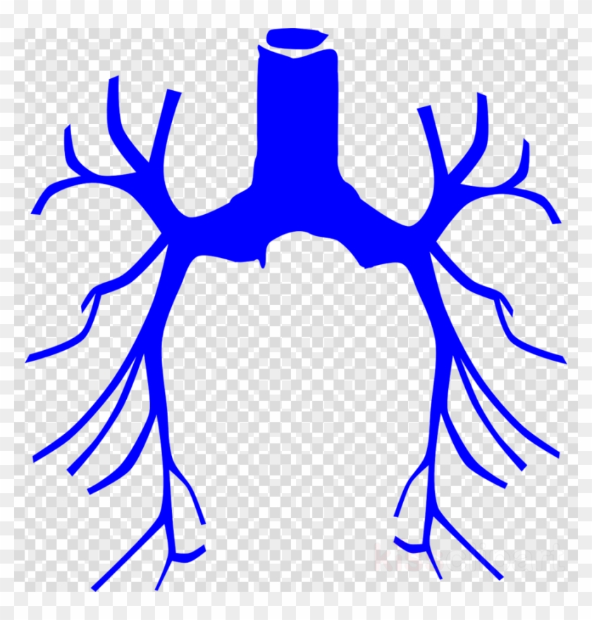 Animal Lung Clipart - Lung Cancer Clipart Png Transparent Png #5146079