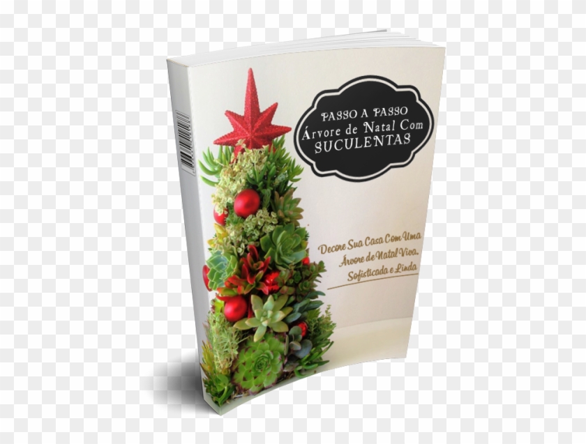 O Único Passo A Passo De Árvores De Natal Com Suculentas - Succulent Christmas Clipart #5146159